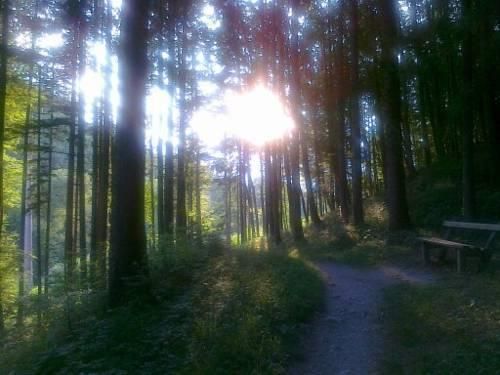Outdoor Pictures 17