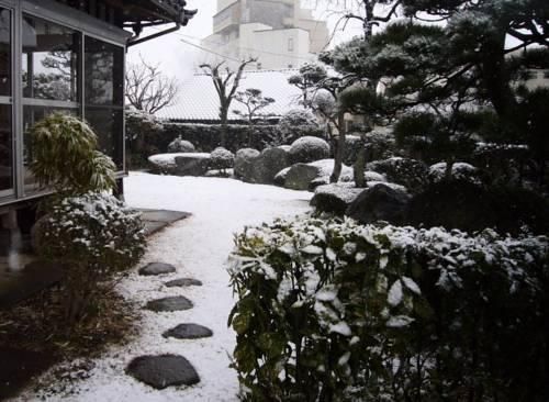 Outdoor Pictures 21