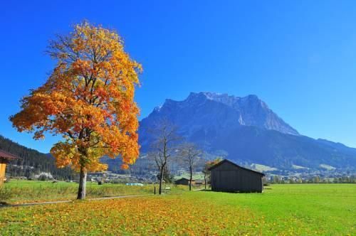 Outdoor Pictures 21