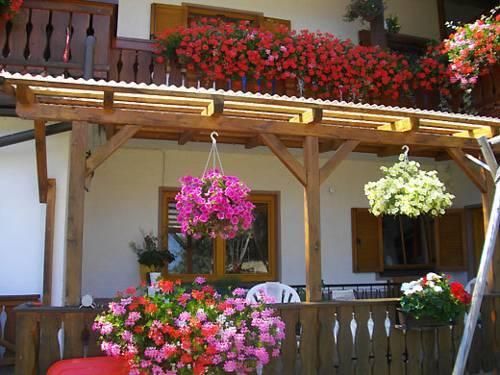 Outdoor Pictures 15