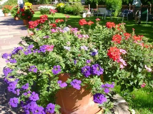 Outdoor Pictures 14