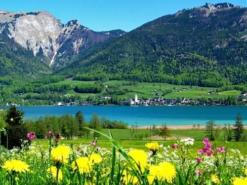 Outdoor Pictures 20