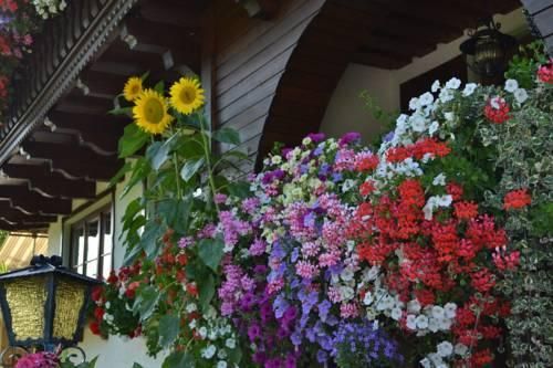 Outdoor Pictures 21