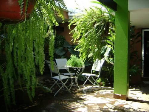 Outdoor Pictures 22