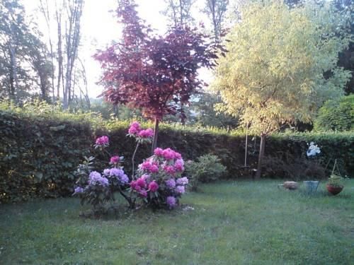 Outdoor Pictures 22