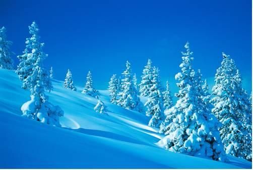 Outdoor Pictures 21