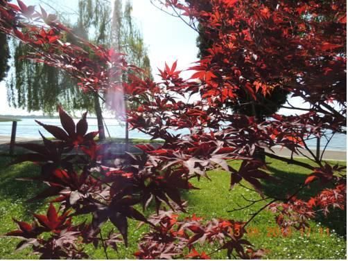 Outdoor Pictures 15