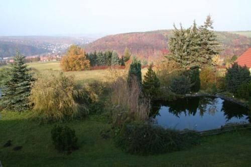 Outdoor Pictures 9