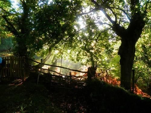 Outdoor Pictures 14