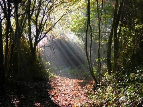 Outdoor Pictures 15