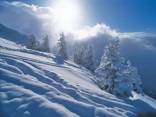 Outdoor Pictures 20