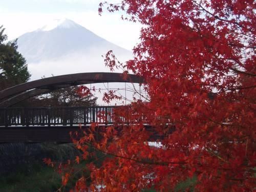 Outdoor Pictures 23