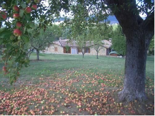 Outdoor Pictures 12