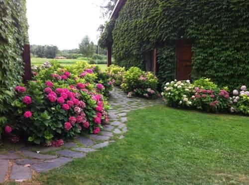 Outdoor Pictures 6