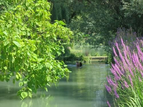 Outdoor Pictures 10