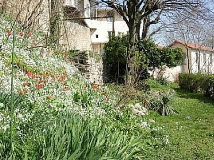 Outdoor Pictures 7