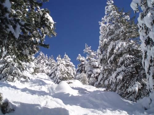 Outdoor Pictures 20