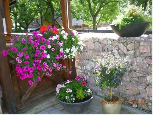 Outdoor Pictures 21