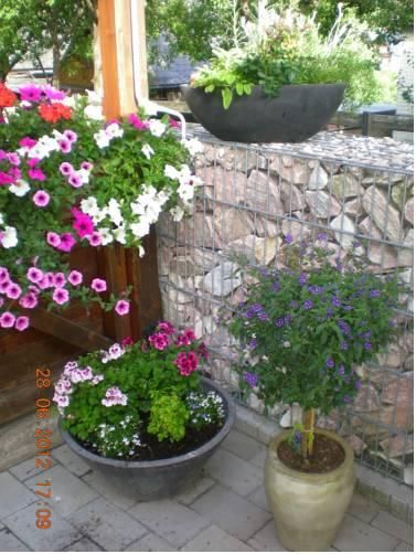 Outdoor Pictures 24