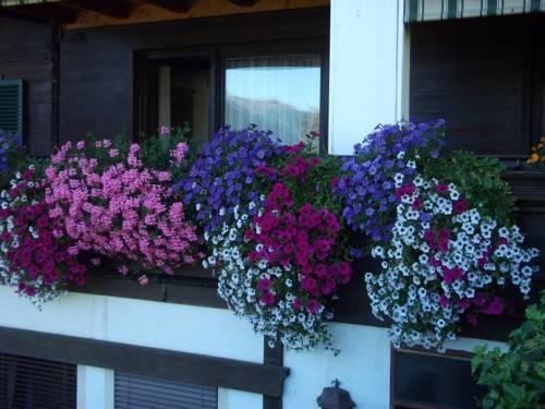 Outdoor Pictures 7