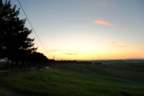 Outdoor Pictures 20