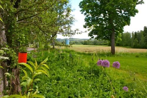 Outdoor Pictures 11