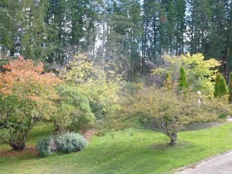 Outdoor Pictures 12