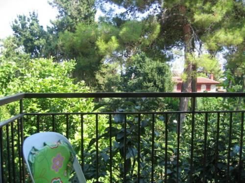 Outdoor Pictures 17