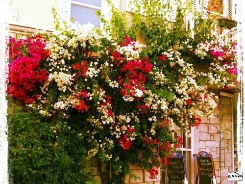 Outdoor Pictures 20