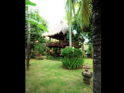 Outdoor Pictures 12