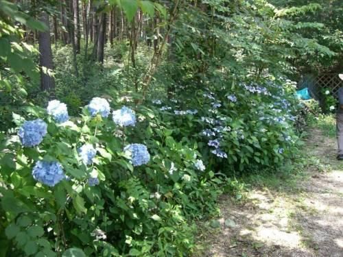 Outdoor Pictures 11