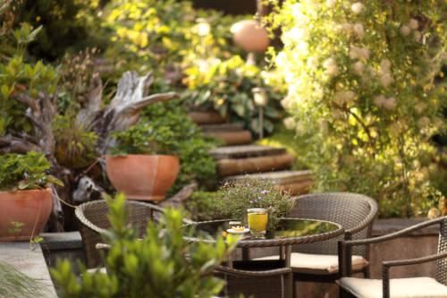 Outdoor Pictures 22