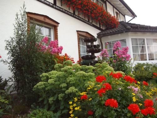 Outdoor Pictures 15