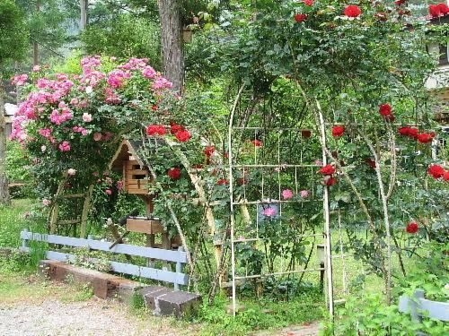 Outdoor Pictures 17