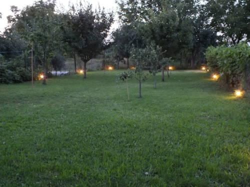 Outdoor Pictures 24