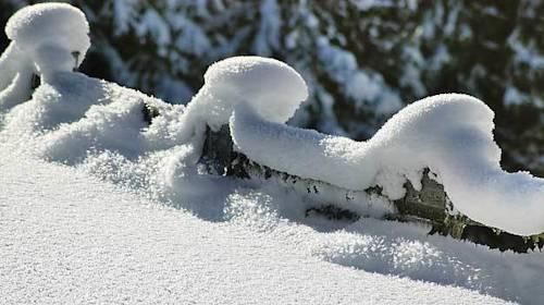 Outdoor Pictures 9
