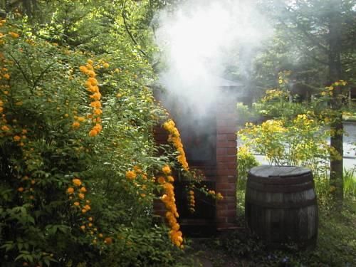 Outdoor Pictures 5