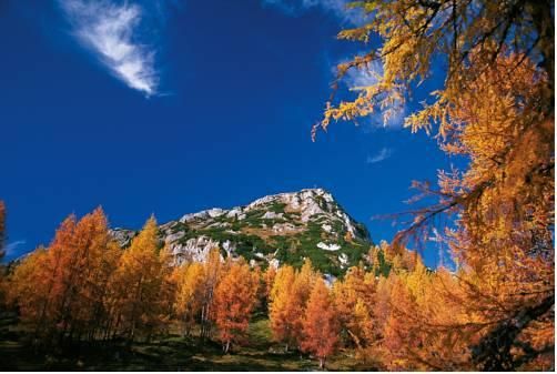 Outdoor Pictures 7