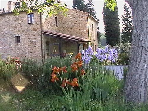 Outdoor Pictures 23