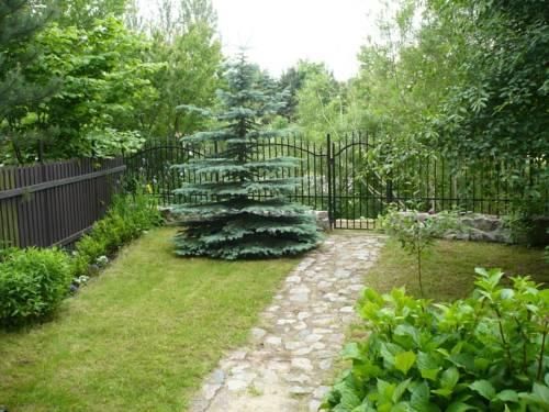 Outdoor Pictures 21