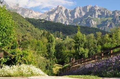 Outdoor Pictures 21