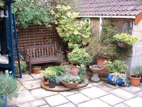 Outdoor Pictures 8