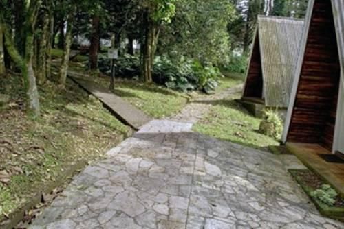 Outdoor Pictures 11