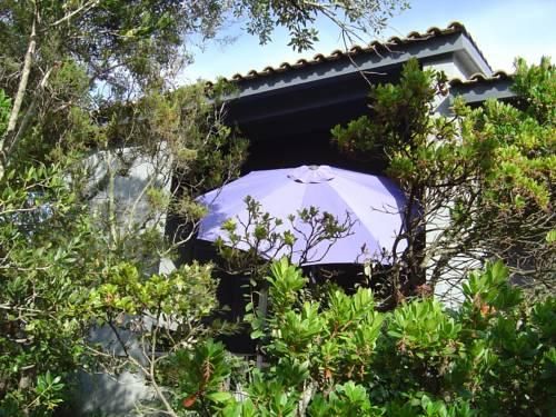 Outdoor Pictures 4