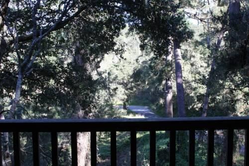 Outdoor Pictures 4