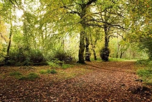 Outdoor Pictures 21