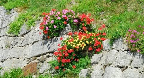 Outdoor Pictures 9