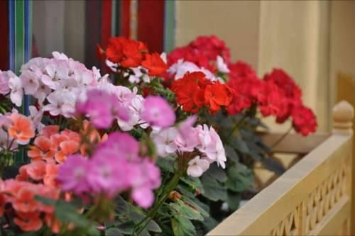 Outdoor Pictures 14
