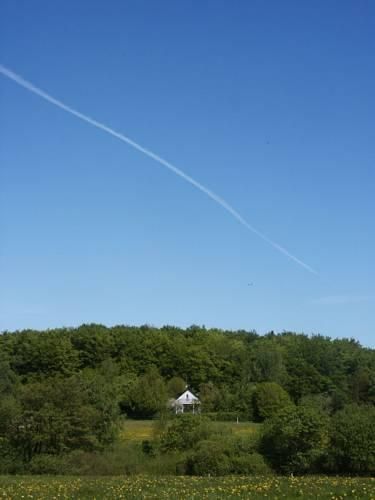Outdoor Pictures 10