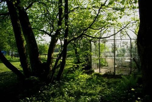 Outdoor Pictures 9